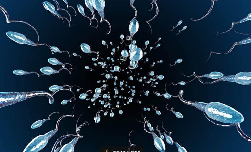 Các dấu hiệu tinh trùng bị yếu